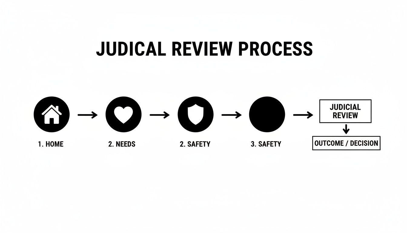 A flowchart outlining the judicial review process, including steps for home, needs, safety, and the final outcome or decision.