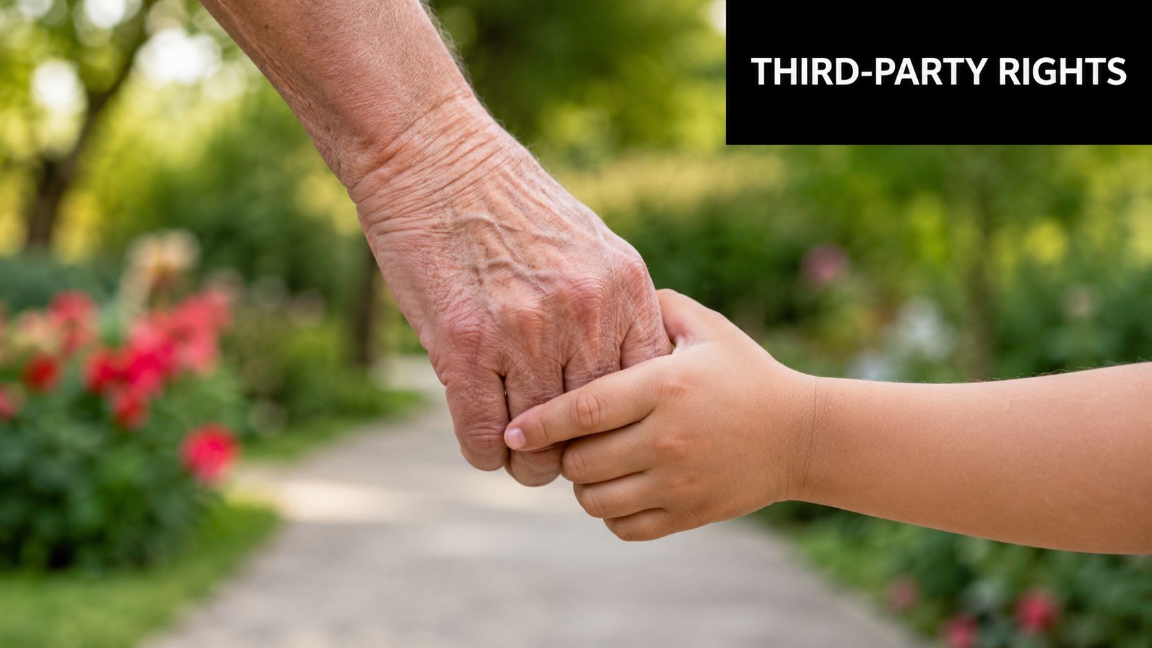 An elderly hand holding a young child's hand while walking along a garden path.